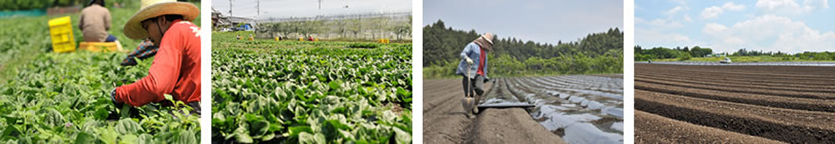 img-business-shikina02